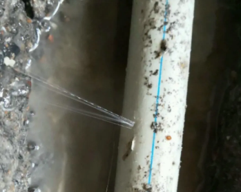岭东卫生间测漏水多少钱